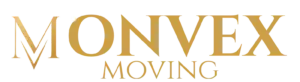 MONVEX, копия (1)