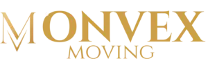 MONVEX, копия (1)